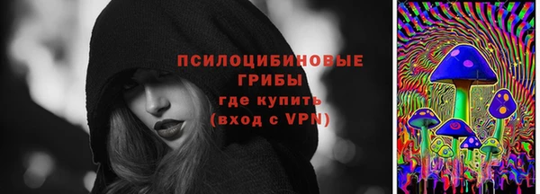 мяу мяу мука Каменка