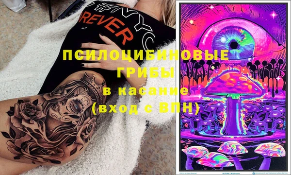 мяу мяу мука Каменка