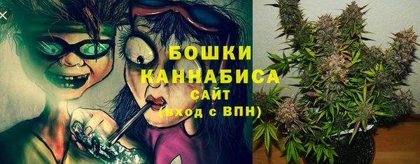 шишки Карталы