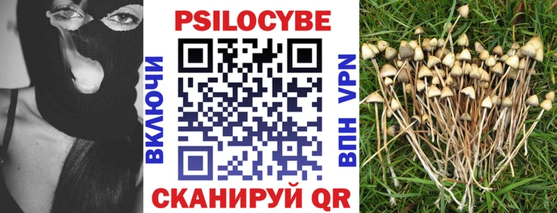 Псилоцибиновые грибы Psilocybine cubensis  Купить где  Камызяк 